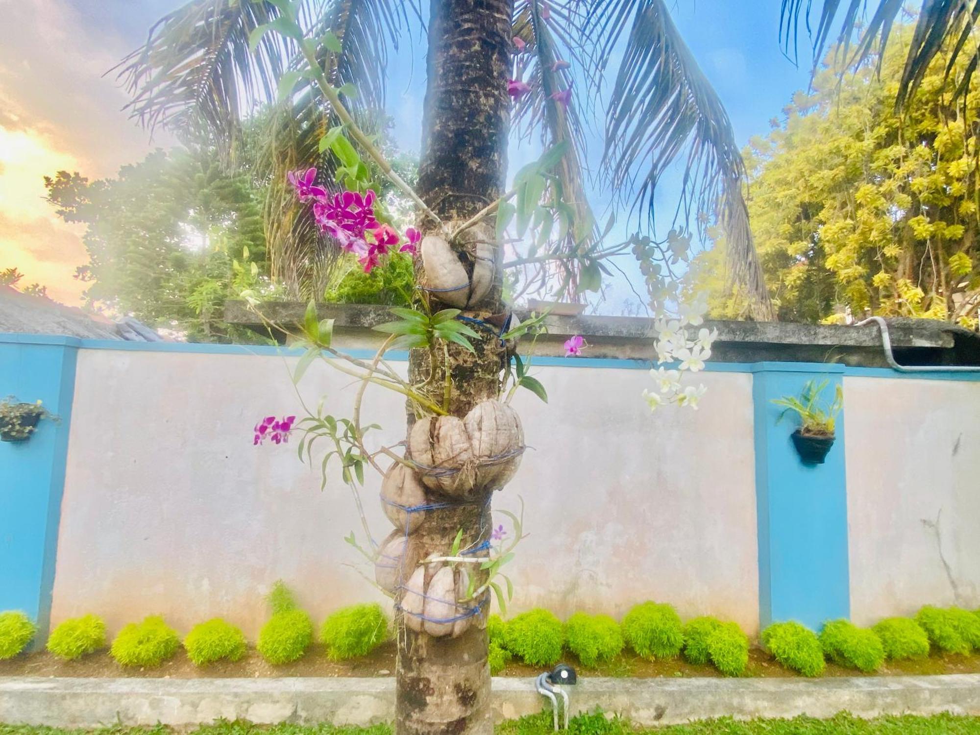 Villa Riverside Aluthgama Eksteriør billede